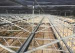 Sightseeing Venlo Glass Greenhouse Custom Shaped Glass Covering Greenhouse