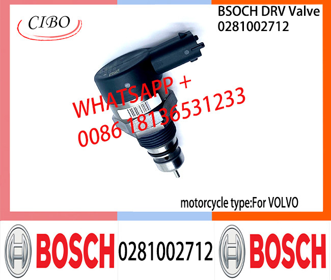 BOSCH DRV Valve 0281002712 Control Valve 0281002712 For VOL