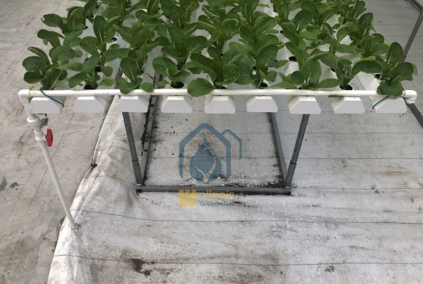 PVC Hydroponic Growing System NFT Pipes For Greenhouse Leafy Vegetables Planting