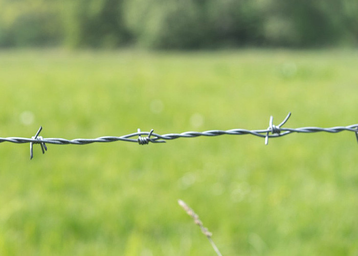 Use of prison walls PVC Coated /Galvanized Barbed Wire Coils fence