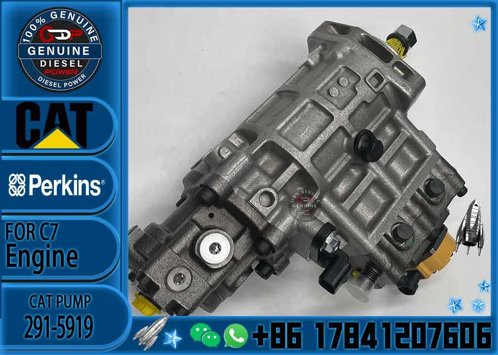 2641A312 3178021 317-8021 10R7660 368-9171 291-5919 276-8398 2641A407 2641A306 C6.6 injection pump for Caterpillar 320D