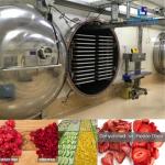 Energy Saving Vacuum Freeze Drying Machine , Automatic Freeze Dryer