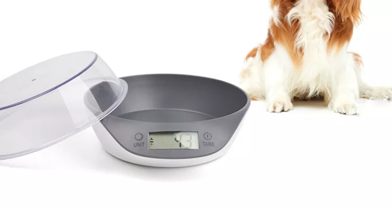 Manufacturer wholesale slow feeder smart pet dog weighing bowl