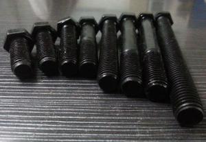 China Six Hexagon Head Stainless Steel Tap Bolts , High Strength Stainless Steel Bolts wholesale