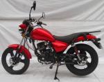 GR MOTOR Dirt Road Bike Front Disc Brakes , Adult Dirt Bike Gasoline Fuel