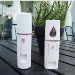 Skin Care 65.5g 20ml 450mAh USB Mini Handy Mist Sprayer