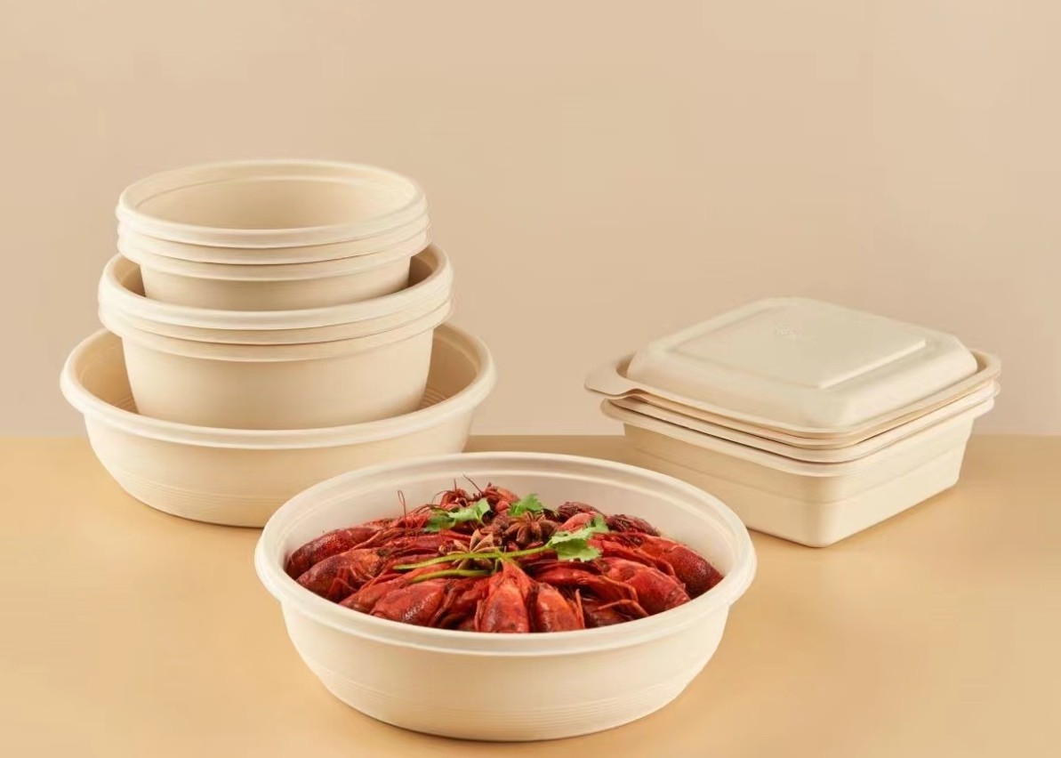 Novel Biodegradable Fast Food Box Machine For PBAT PLA Material