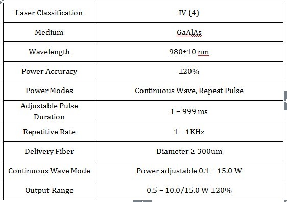 Portable 980nm Diode Laser Machine Skin Rejuvenation With Permanent Results