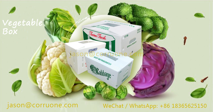 PP Corrugated Plastic Box for Vegetable and Fruit Box Corn broccoli and Agriculture Packing box
