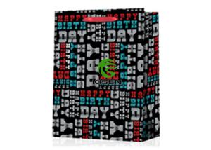 China Laminated Retail Paper Shopping Bags For Gift Multi Colors Environment Friendly wholesale