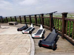 China Feet Speed Control 250W 10A City Commuter Scooter wholesale