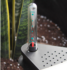 Simplify Your Plant Care Routine with Our Innovative Water Level Indicator Planter