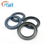 Double Lip CFW Oil Seal FKM Material High Temperature Resistance