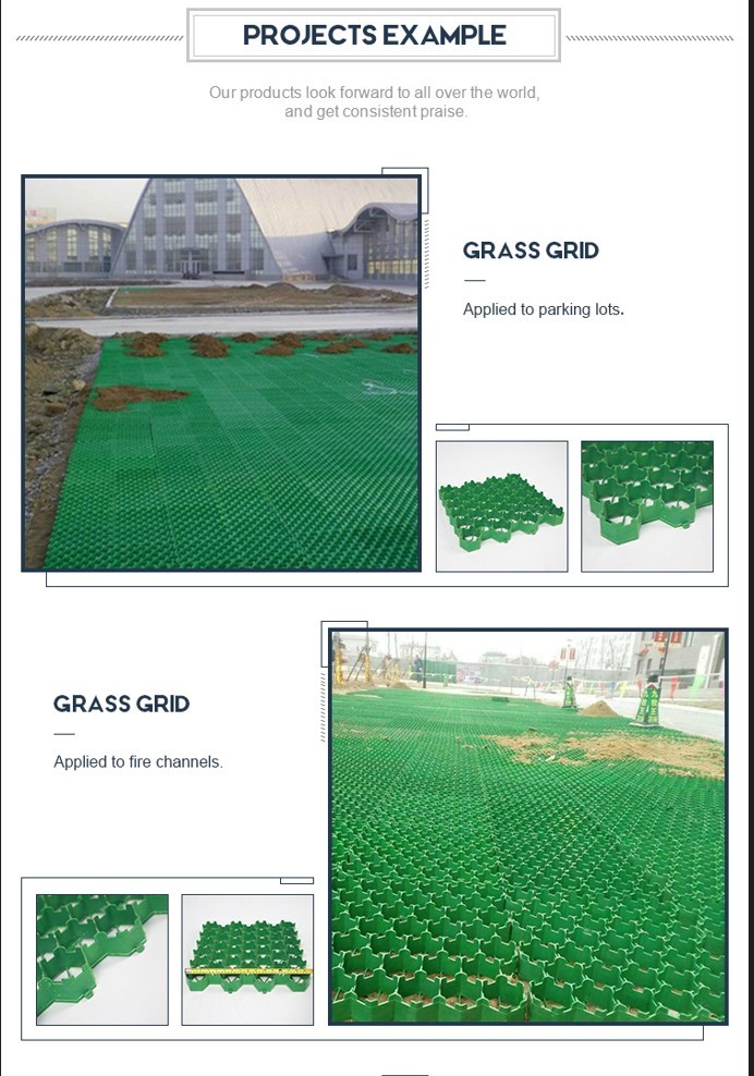 HDPE Grass Grid Manufacturer Plastic Gravel Paver Grid Grass Grid for Driveway and Parking Green Black Color