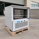 Minus 32 Degree Commercial Blast Freezer 725x795x865mm 90L For Beef