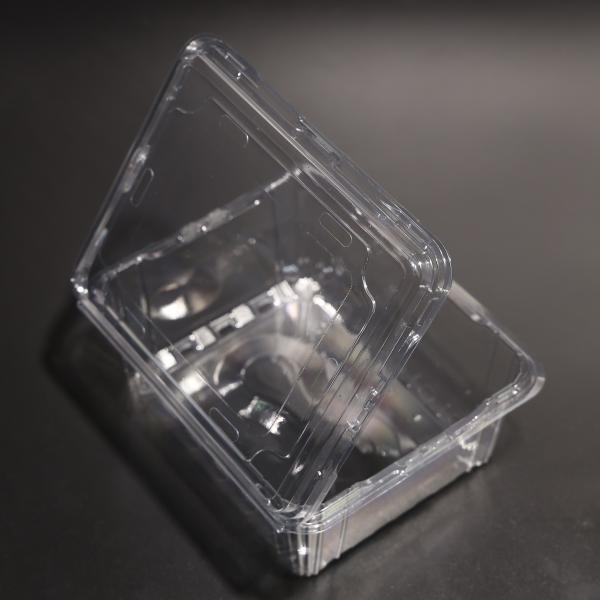 Eco Friendly Plastic Food Container PET Food Storage Container Leak Proof