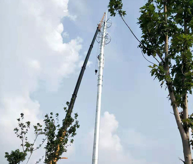18m Mobile Communication Light Pole Foundation Octagonal Pole Hot Rolled Steel Q235 Q345