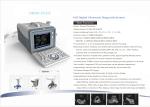 Animal Cattle Veterinary Ultrasound Machines 6.5MHz R13 Cavity Probe