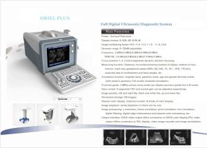 China Animal Cattle Veterinary Ultrasound Machines 6.5MHz R13 Cavity Probe wholesale