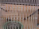 Industry Leader in Cable Mesh For Over 10 Years