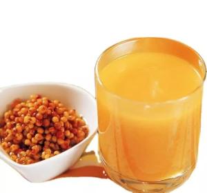 China Mygou Foods Sea-Buckthorn Juice Fresh 100% Original Puree Organic Fruit Juice wholesale