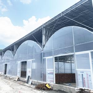 China Commercial Poly Tunnel Agricultural Multi-span Plastic Film Greenhouse wholesale