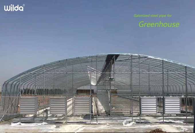 OEM Galvanized Greenhouse Steel Pipe