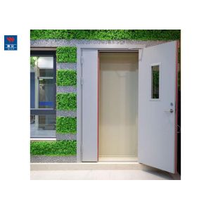 China 30mins Fire Rated 60mm Galvanized Steel Door American Standard wholesale