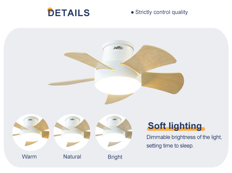 Energy Saving 28 Inch LED Ceiling Fan for Low Ceilings Metal Body and Flush Design