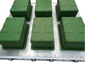 China ISO9001 Fish Box EPS Mould For Fresh Fruit Vegetable Packaging wholesale