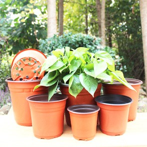 Degradable Polymers Blister Small Plastic Flower Pots For Plant