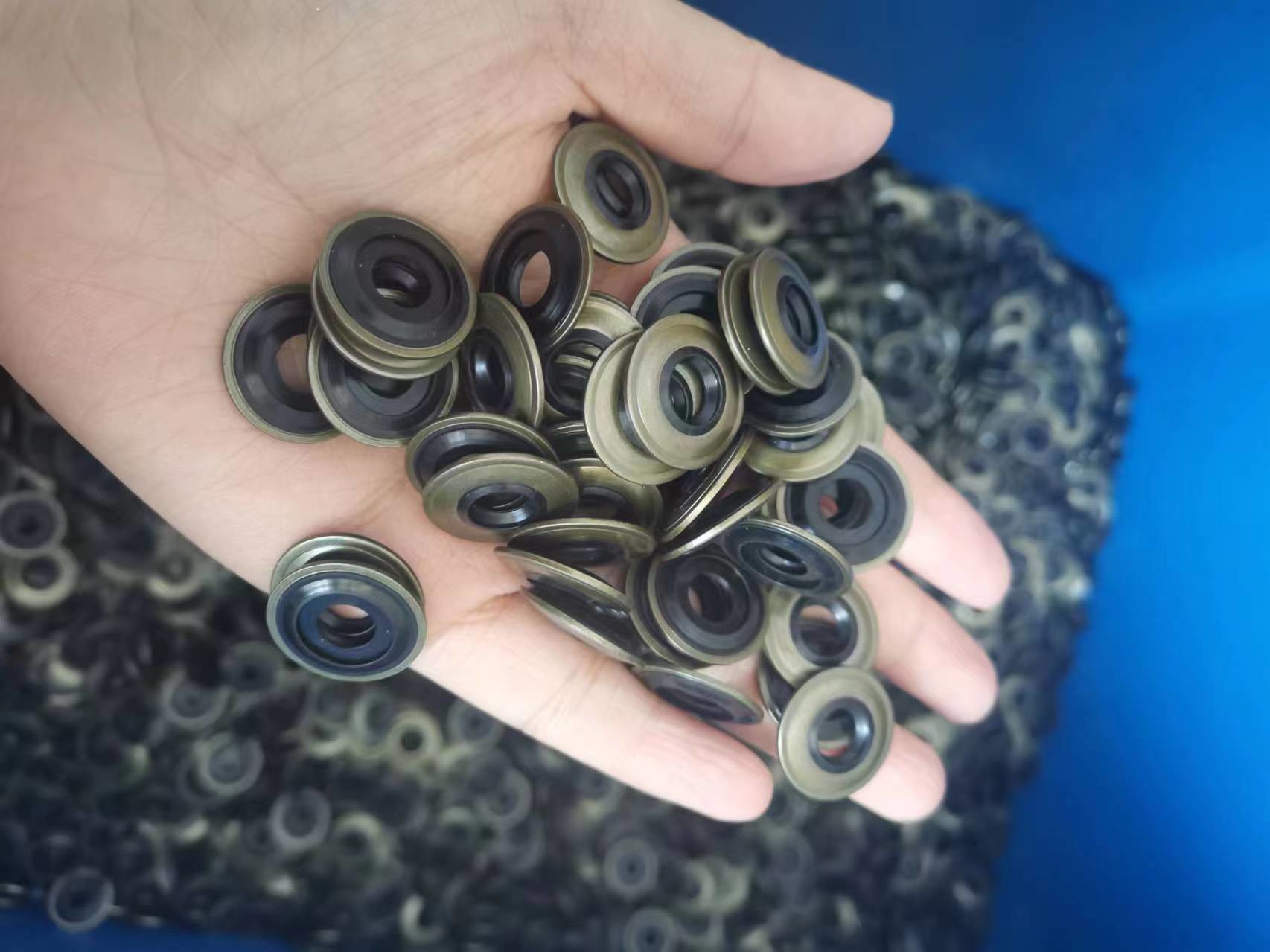 Double Lip Skeleton NBR FKM Silicone TC SC TG TB DC TCV TCN Cassette Combi Reducer Rotary Shaft Oil Seal