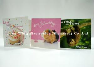 China Delicate Recordable Sound Module For Festival Gifts , voice recording chip wholesale