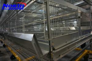 China Poultry Cages Poultry Layer Cages Exporter wholesale