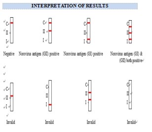 One Step Colloidal Gold Rapid Screen Test For Detection Of Norovirus Antigen