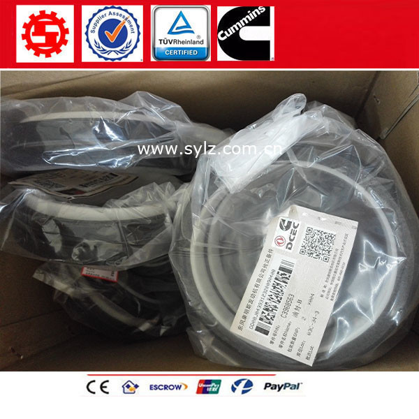 Genuine China made Genuine Cummins Diesel Engine parts Crankshaft Rear Oil Seal 3968563