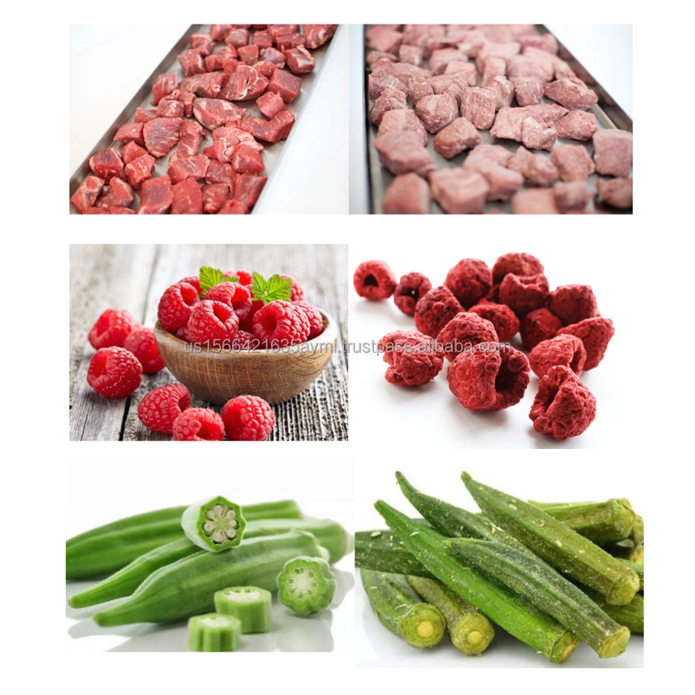 Vacuum Freeze Dryer Lyophilizer Machine Household Freeze Dryers Lab Freeze Dryer