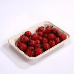 200ml Bagasse Meat Fruit Paper Compostable Meat Trays Sustainable Disposable