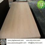 Beech plywood