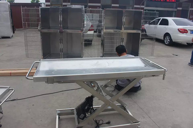 Electric Driven Veterinary Surgery Table , Animal Operating Table For Small Pet