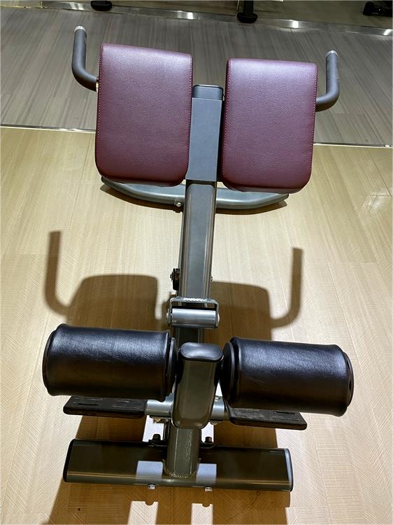Freeman Commercial Gym Fitness Equipment Back Extension(hyper Extension Bench)/roman Chair