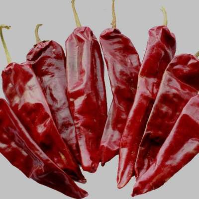 Raw Yidu Chili Zero Additive 2000 Scoville Long Dry Red Chilli