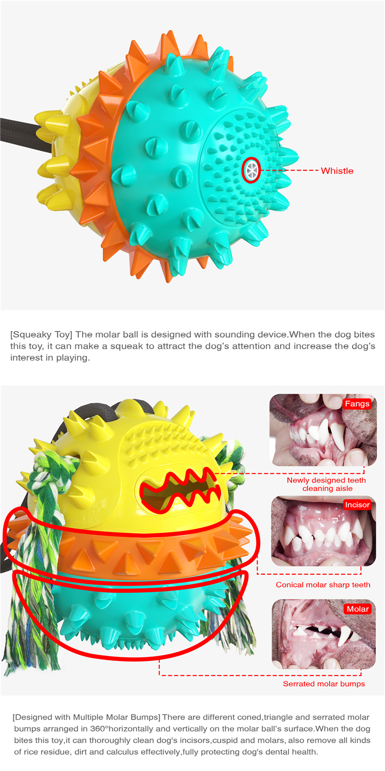 Powerful Double Sucker Dog Toy Molar Dog Supplies Bite Resistant Ball