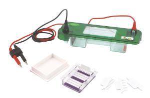 China JY-SPAT Horizontal Gel Electrophoresis Apparatus Horizontal Electrophoresis Cell wholesale