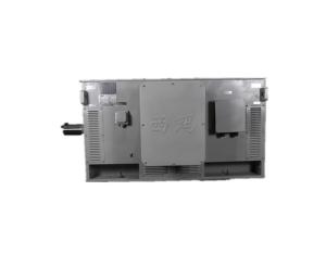 China 500kW 6kV Asynchronous Electric Motor Y4002-2 HV Induction Motor wholesale
