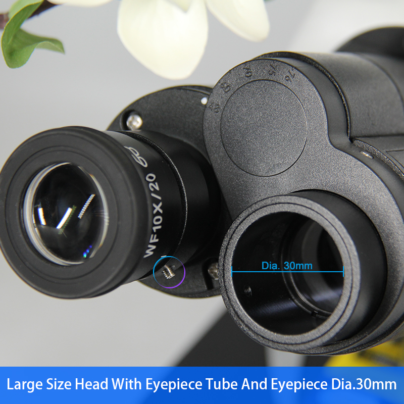Polarizing Microscope Transmitting Light