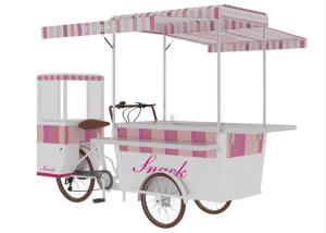 China Aluminium Alloy Framed Mobile Snack Cart Electric 350w Rear Wheel Motor wholesale