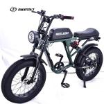Electric Bicycle GOMID 750W 48V 20 Inch E Bike Mountain Fat Tire Ebike With High
