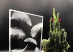 Window Partition Mural Laser 6mm Sand Carved Glass