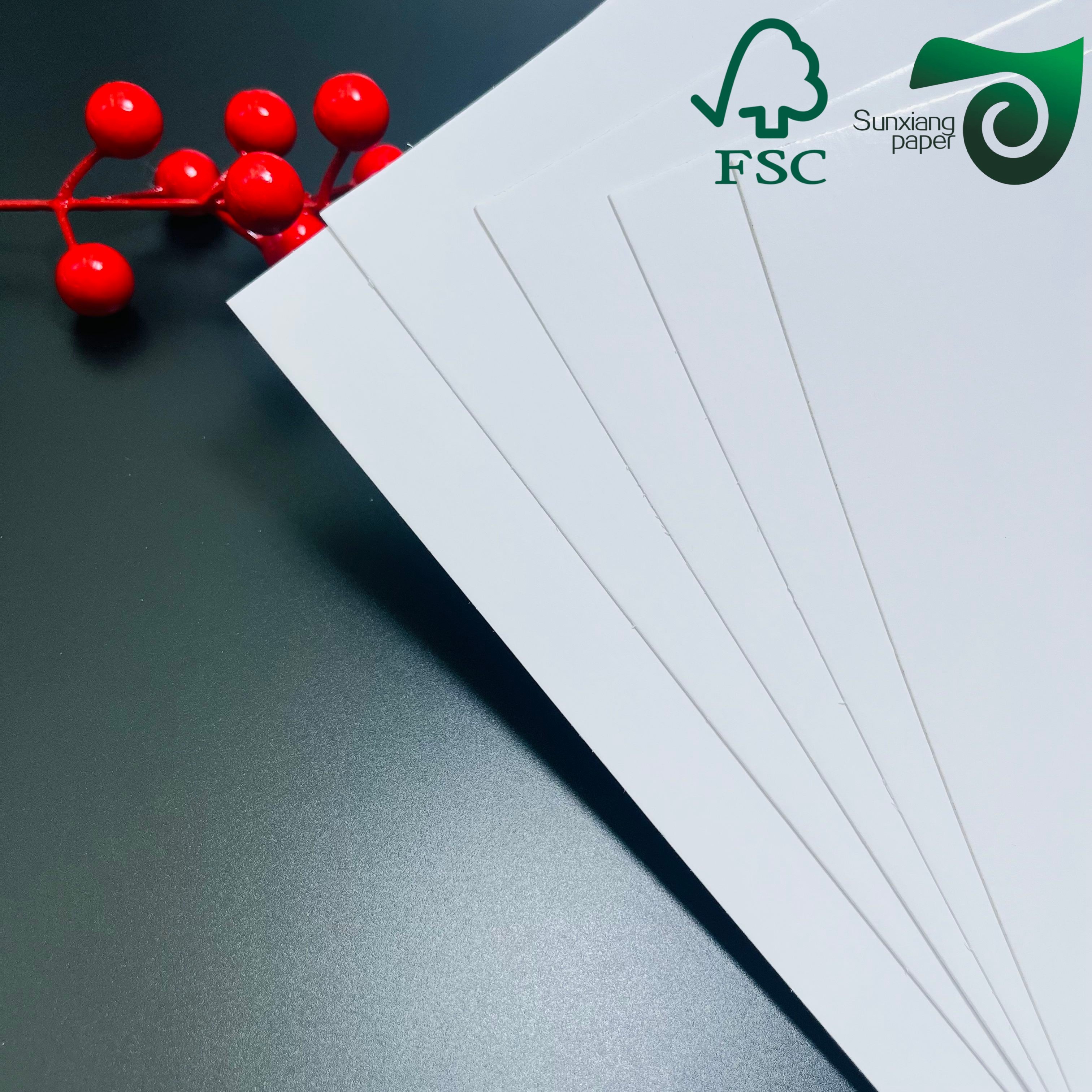 FSC Customizable Shiny Double Sided C2S Coated Paper 20 26 Inches 18PT 24PT